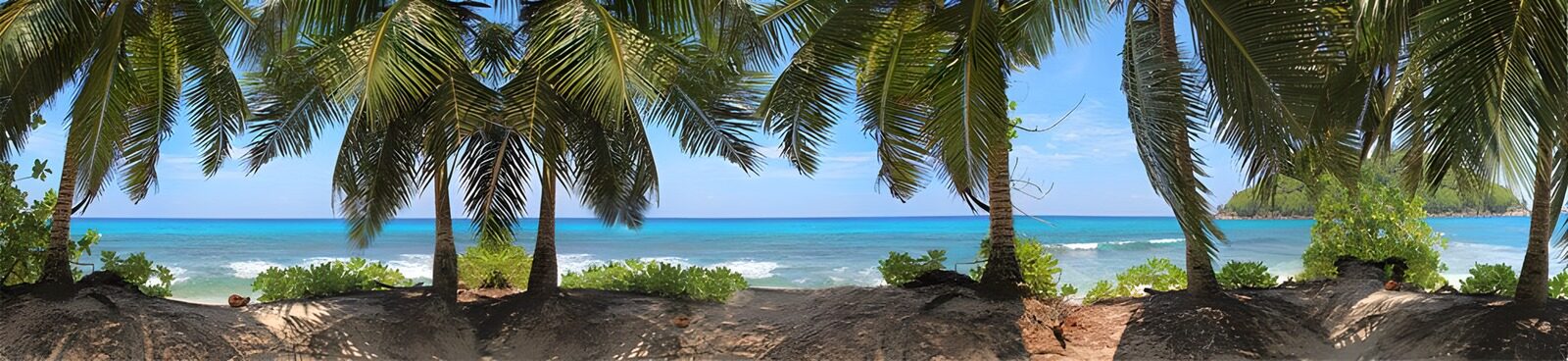 OCCOM9476896: Tropical Paradise by the Sea
