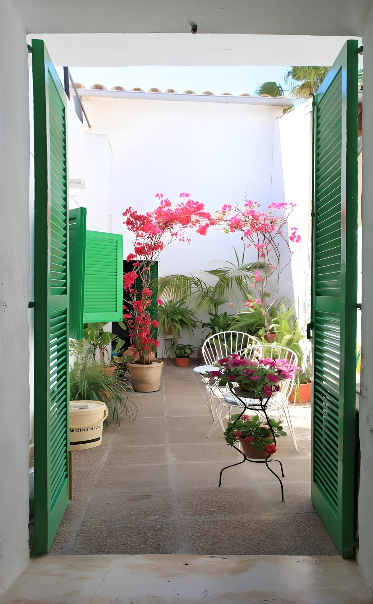Vibrant Garden Oasis Entrance