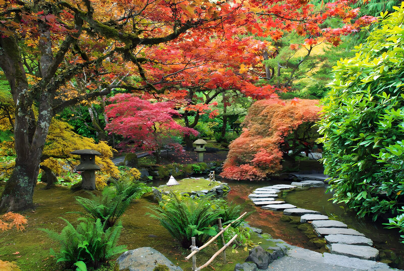 OCCOM1636201: Serene Autumn Garden Oasis