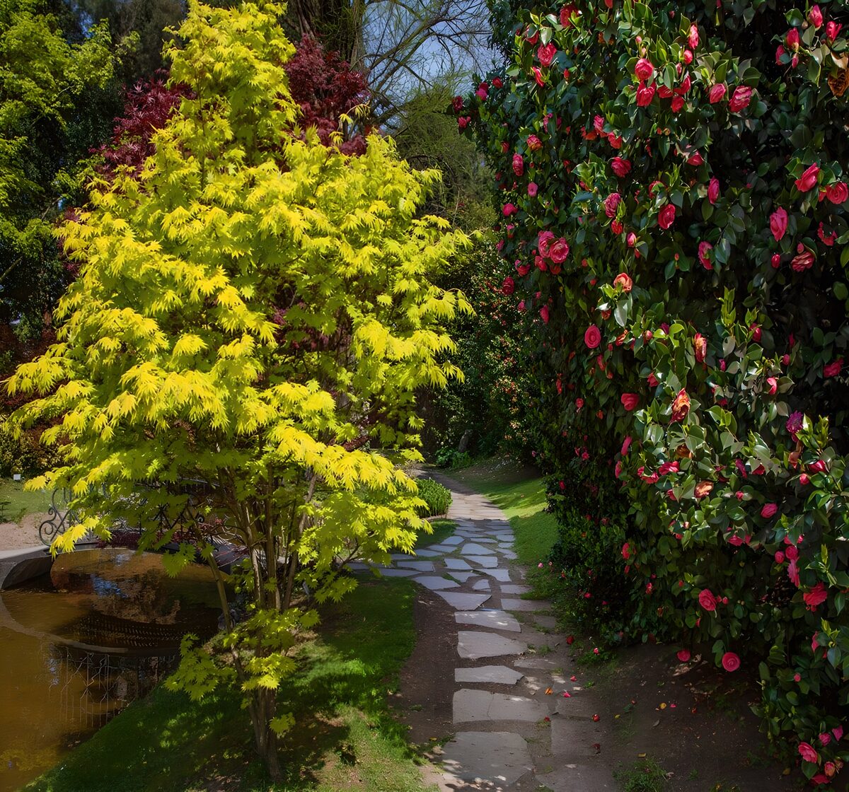 OCCOM8494528: Vibrant Garden Pathway in Spring