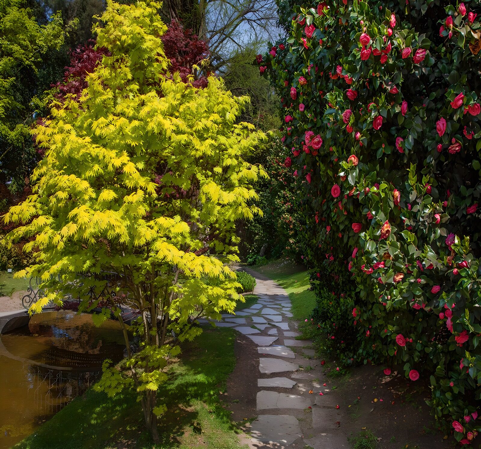 OCCOM8494528: Vibrant Garden Pathway in Spring