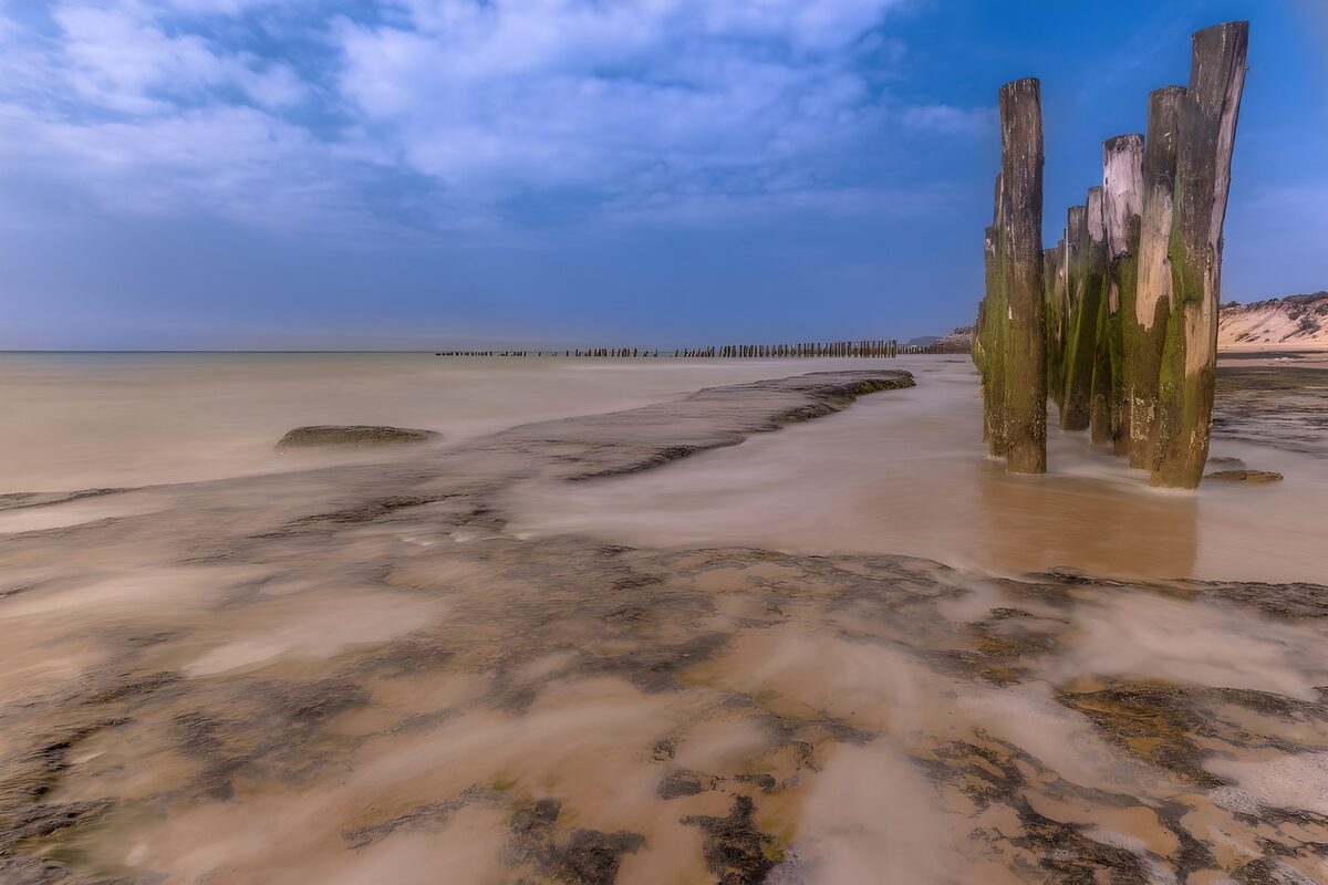Tranquil Shoreline at Dusk