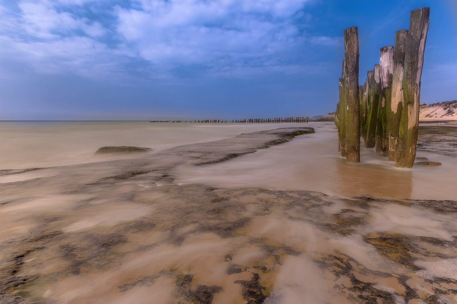 OCCOM4891550: Tranquil Shoreline at Dusk