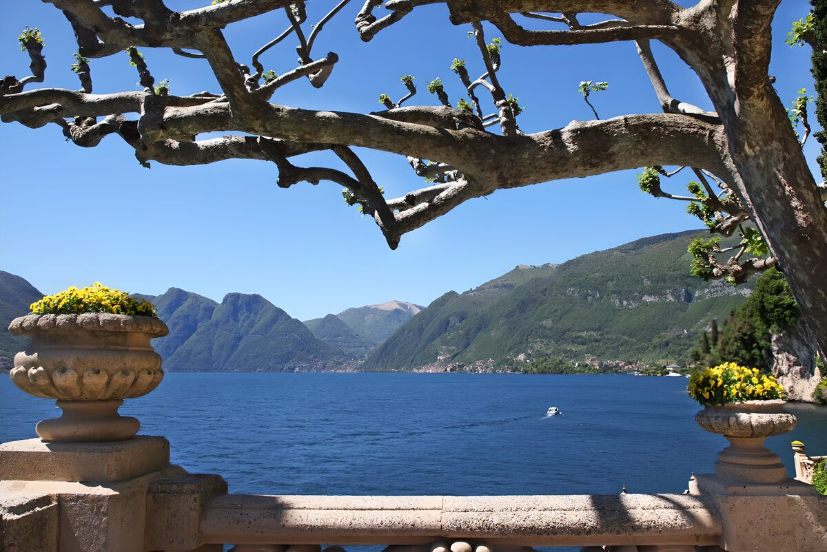 OCCOM9482678: Serene Lake View Framed by Blossoms