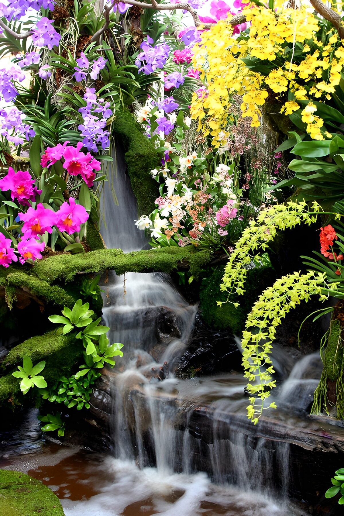 OCCOM4199221: Enchanted Waterfall Garden