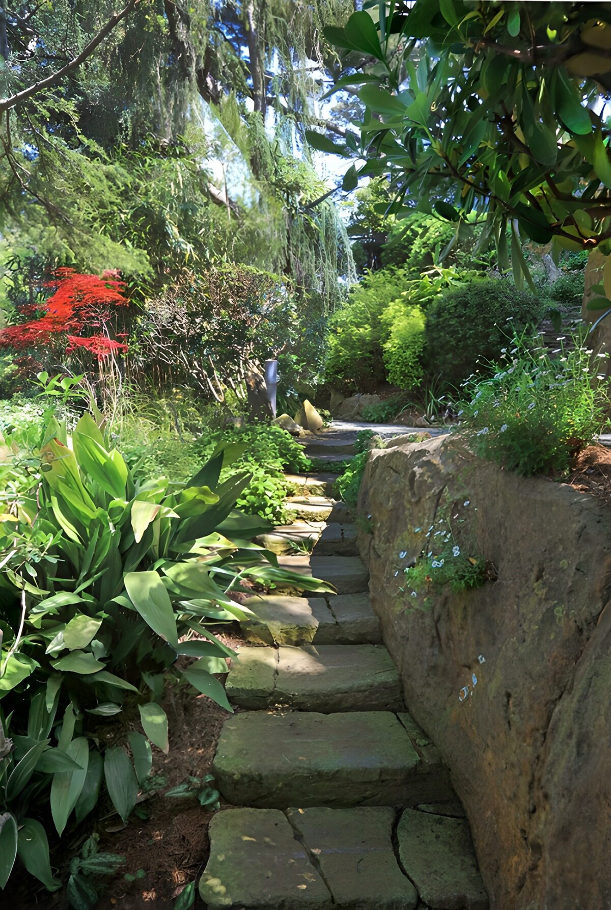 OCCOM4093828: Serene Garden Pathway