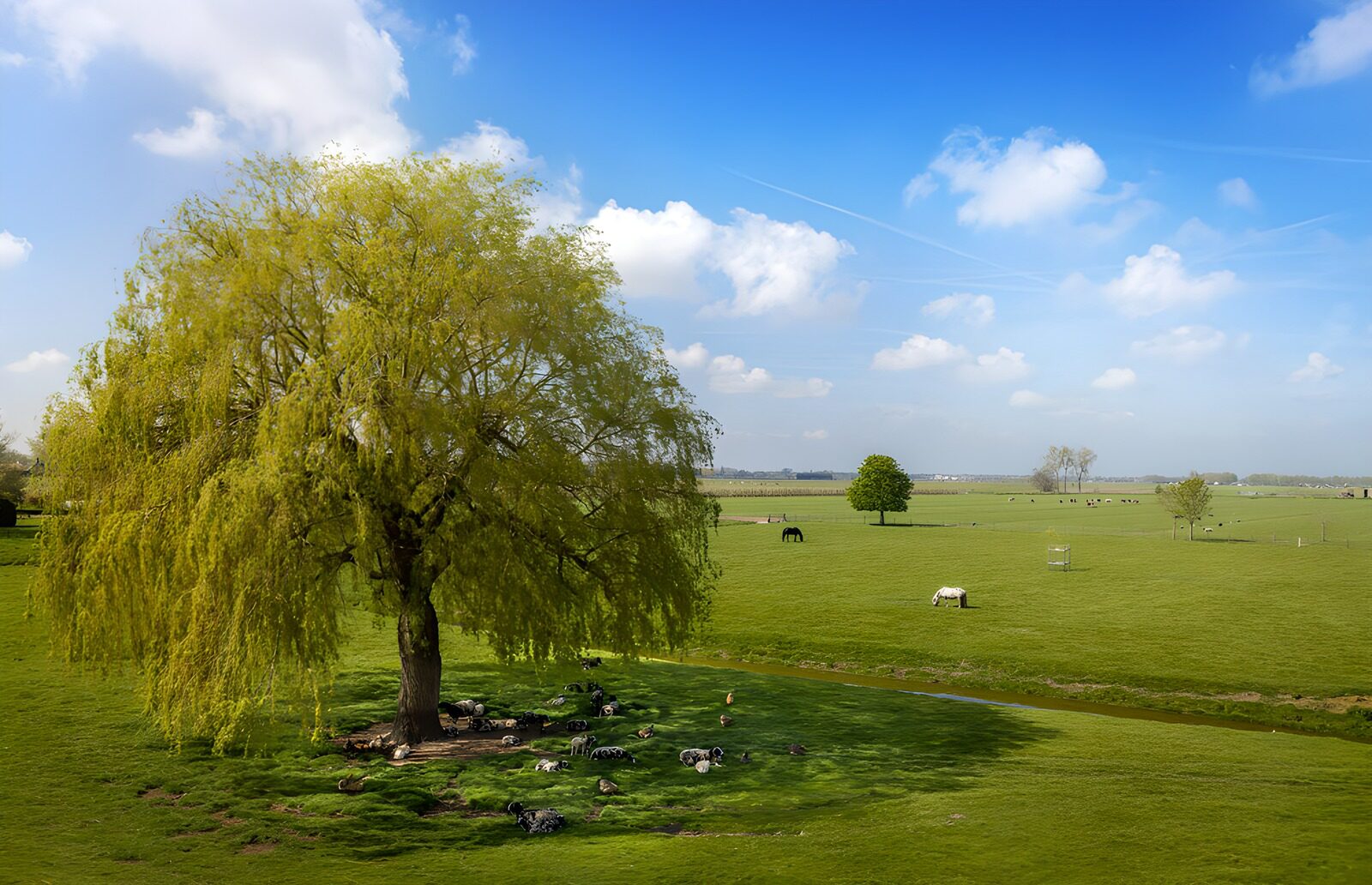 OCCOM3630352: Serene Pastoral Landscape