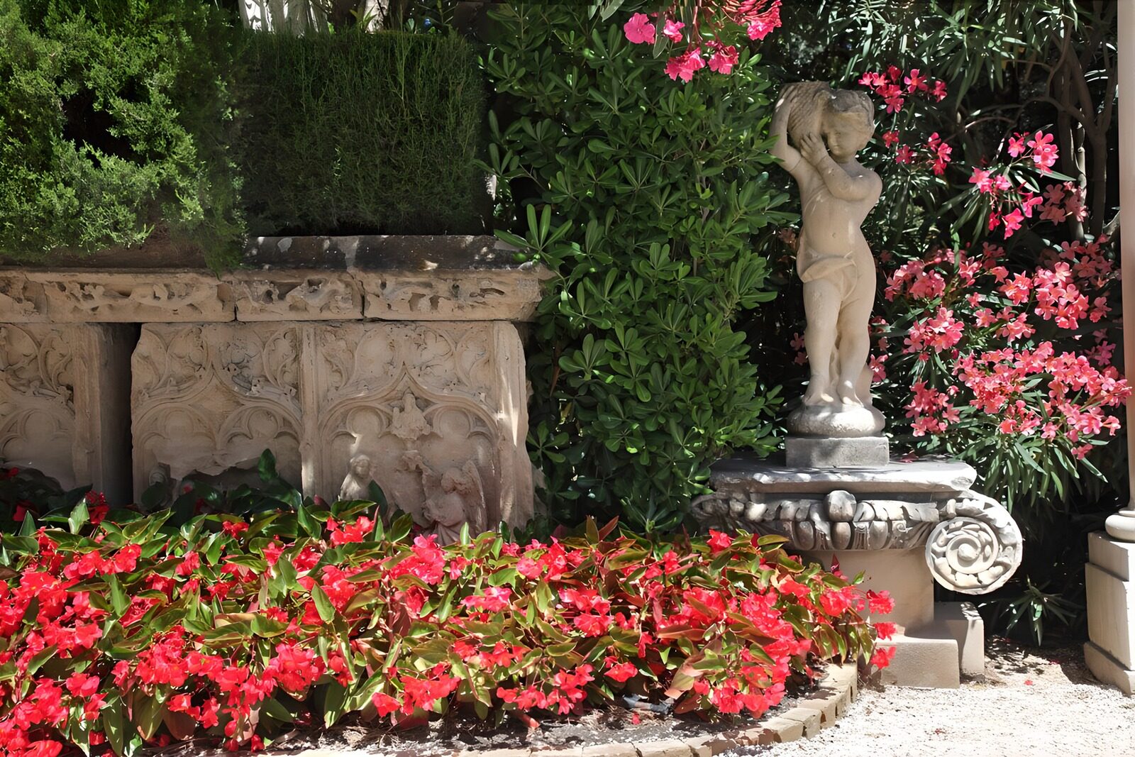 OCCOM3649058: Serene Garden with Floral Accents