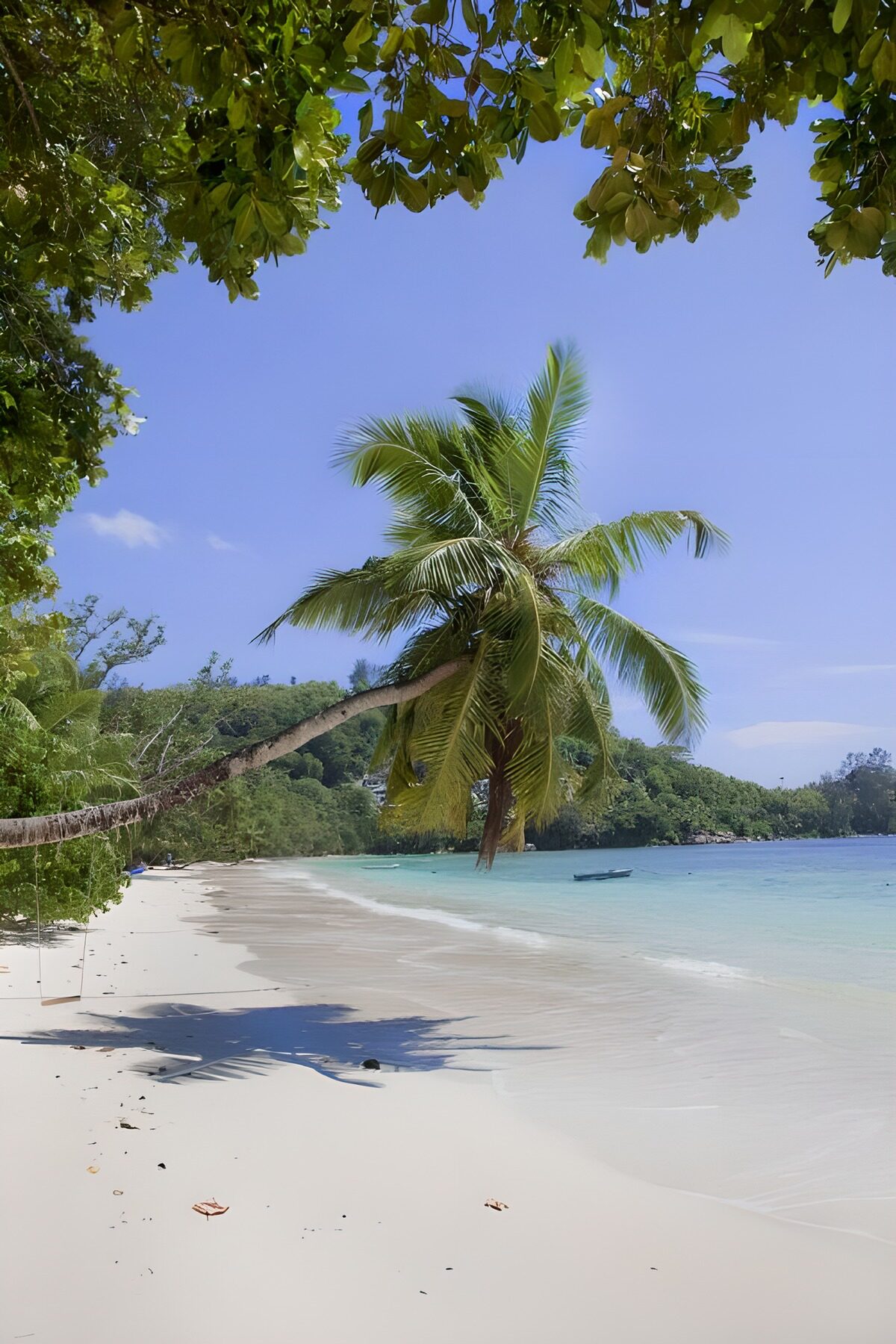 Tropical Paradise by the Shore