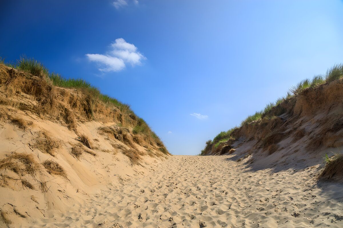 OCCOM6149789: Sandy Path Through the Dunes