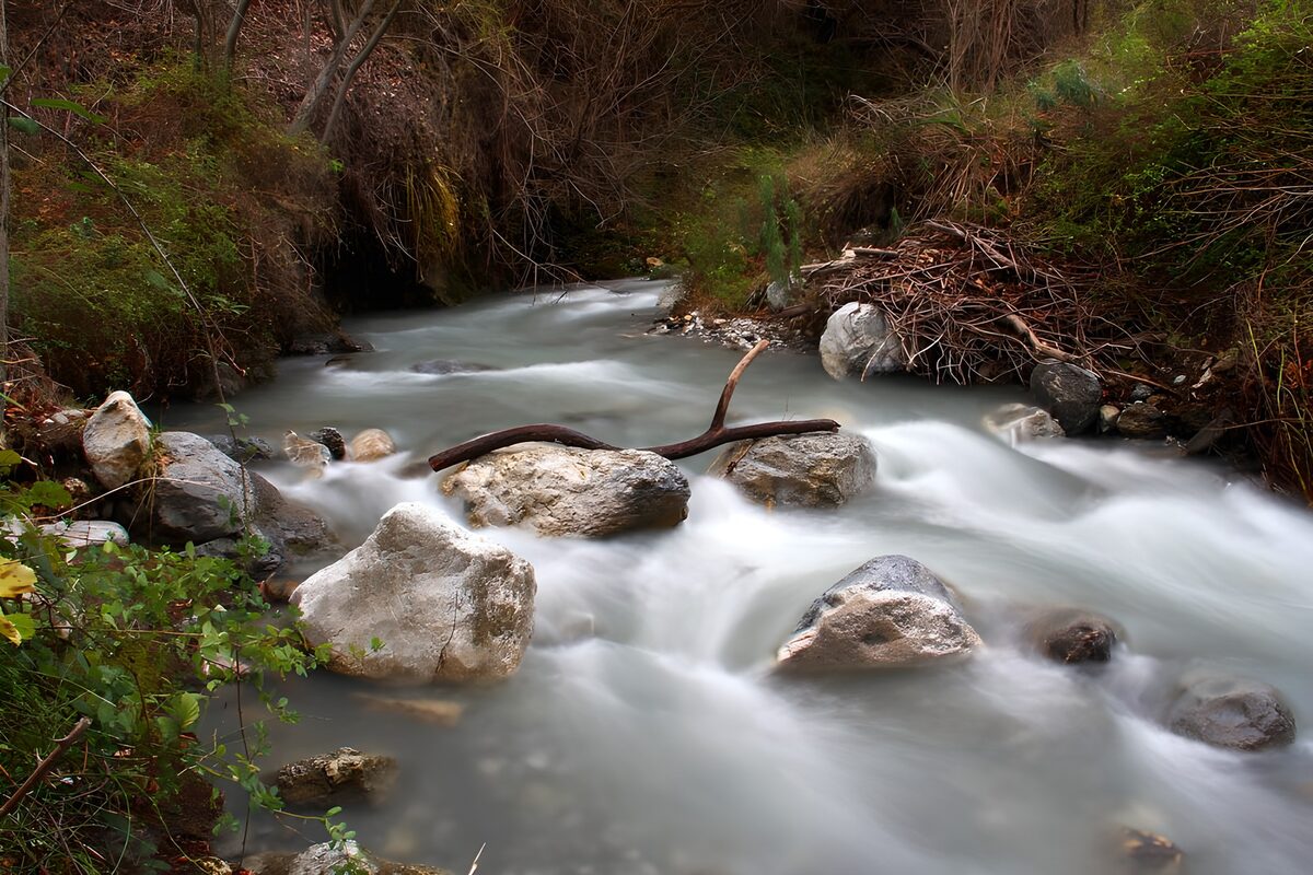 Serene Stream Flowing Through Rocky Landscape