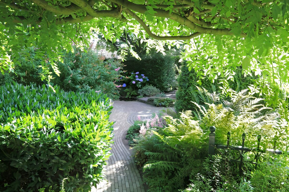 Serene Garden Pathway