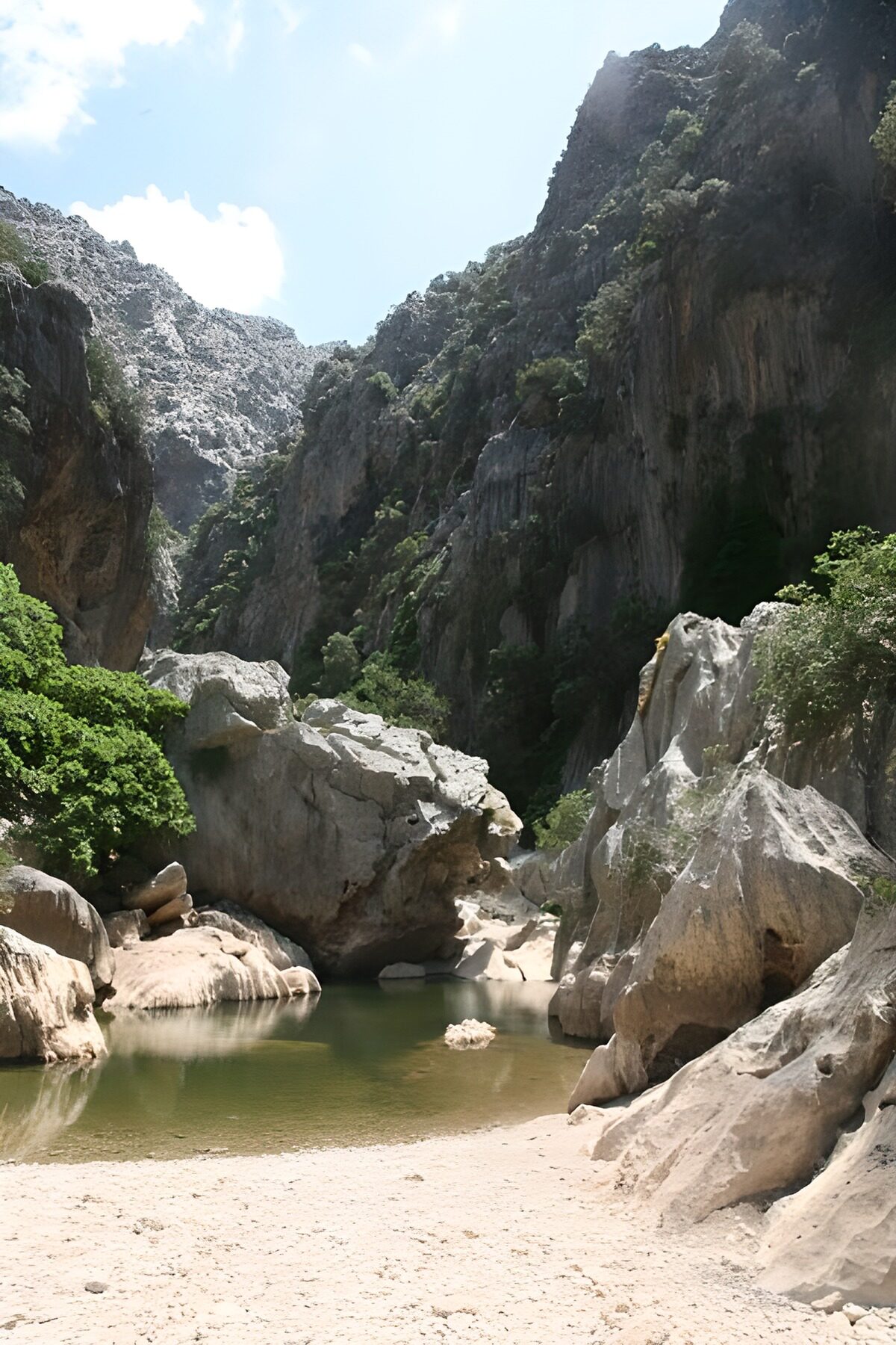 Serene Canyon Oasis