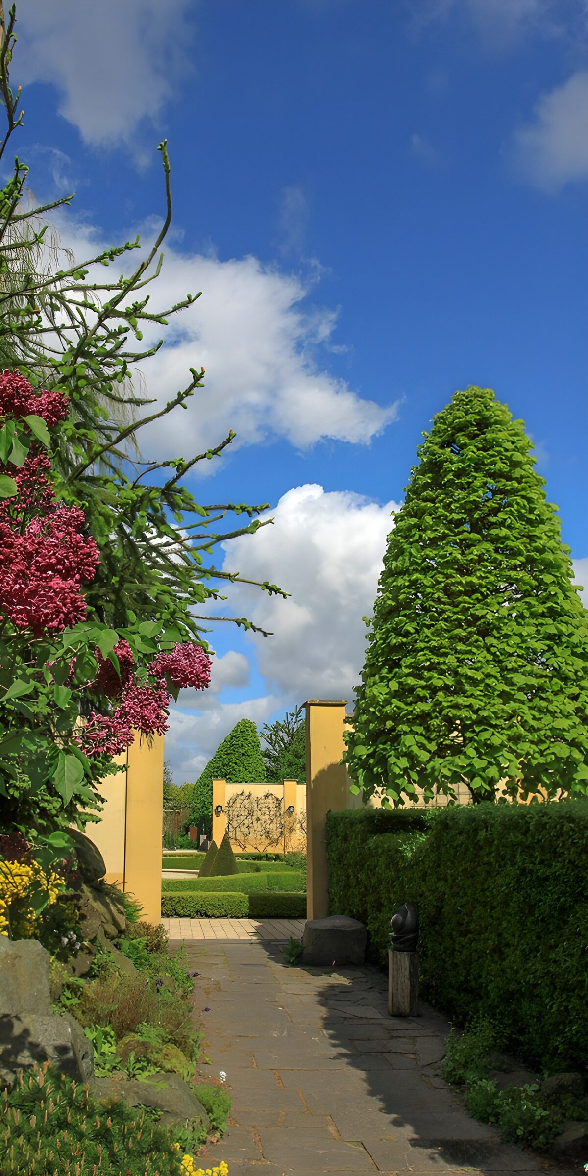 OCCOM4014568: Tranquil Garden Pathway