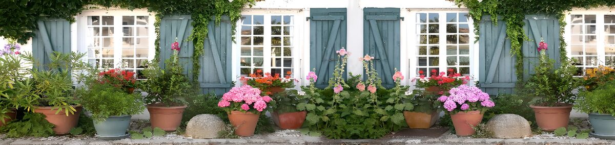 Charming Flower Pots by the Windows