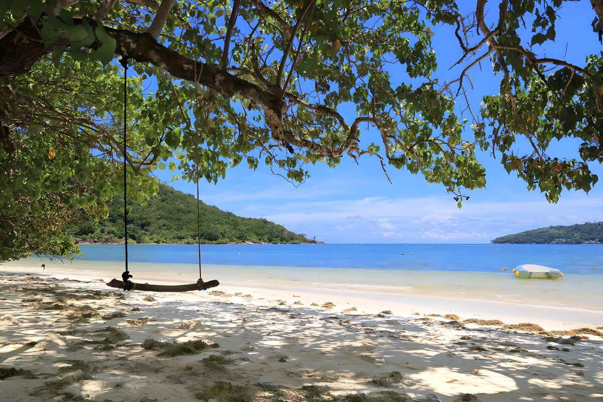 OCCOM8654777: Tranquil Beach Swing