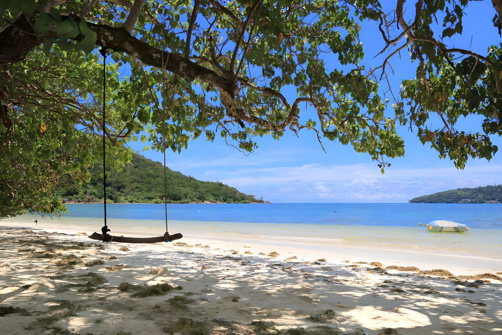 OCCOM8654777: Tranquil Beach Swing