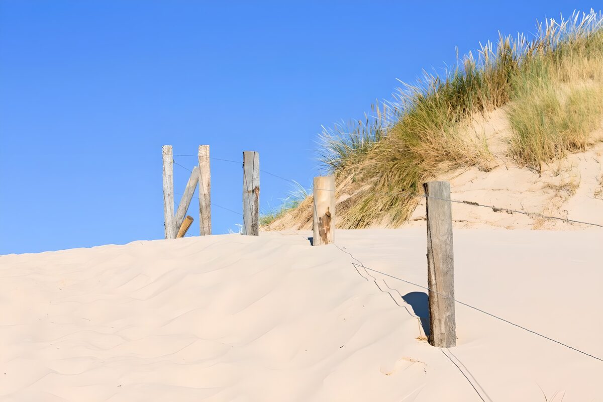 OCCOM7637185: Coastal Pathway near Sand Dunes
