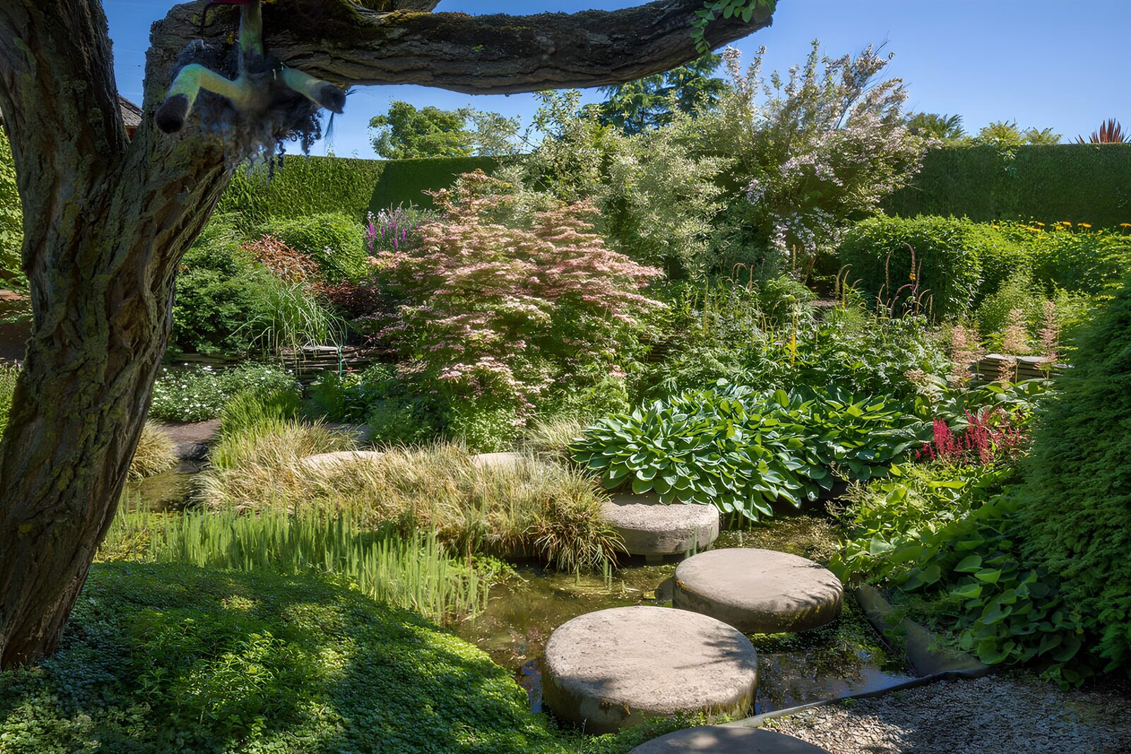 OCCOM5451863: Serene Garden Retreat