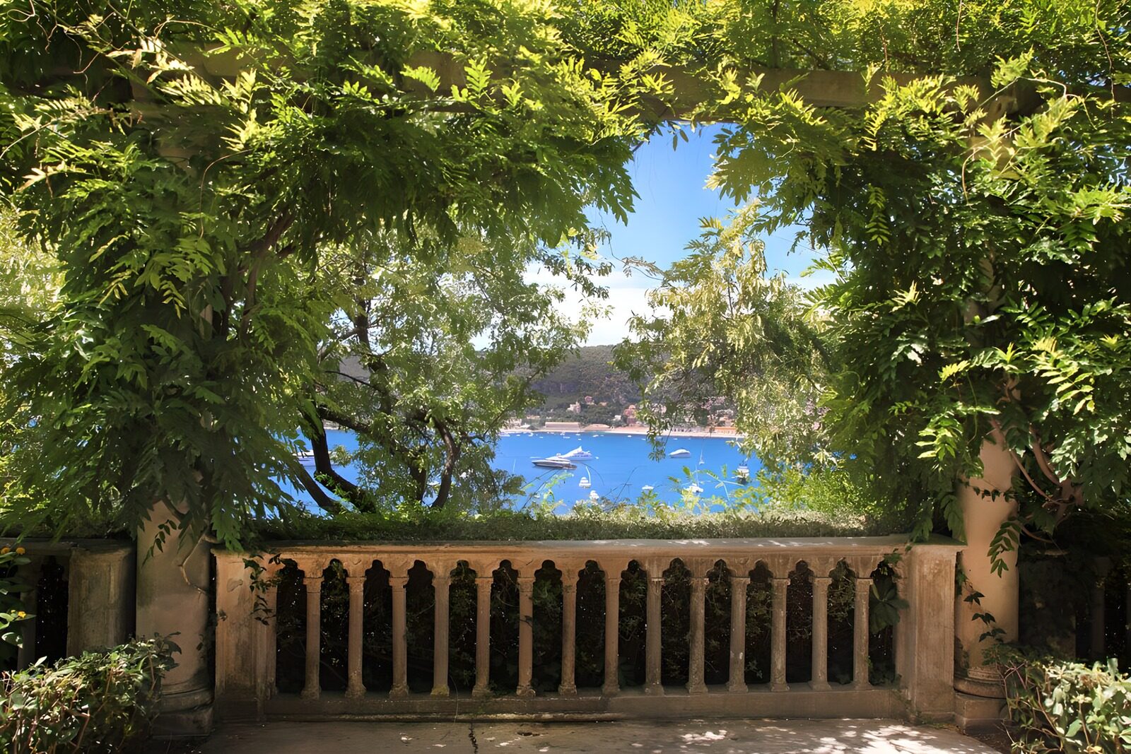 OCCOM6767504: Serene Coastal View Through Lush Arches