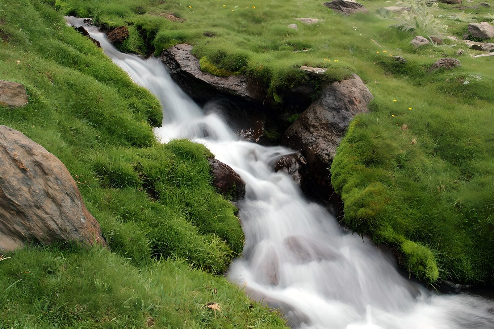 OCCOM3301799: Serene Flow of Nature
