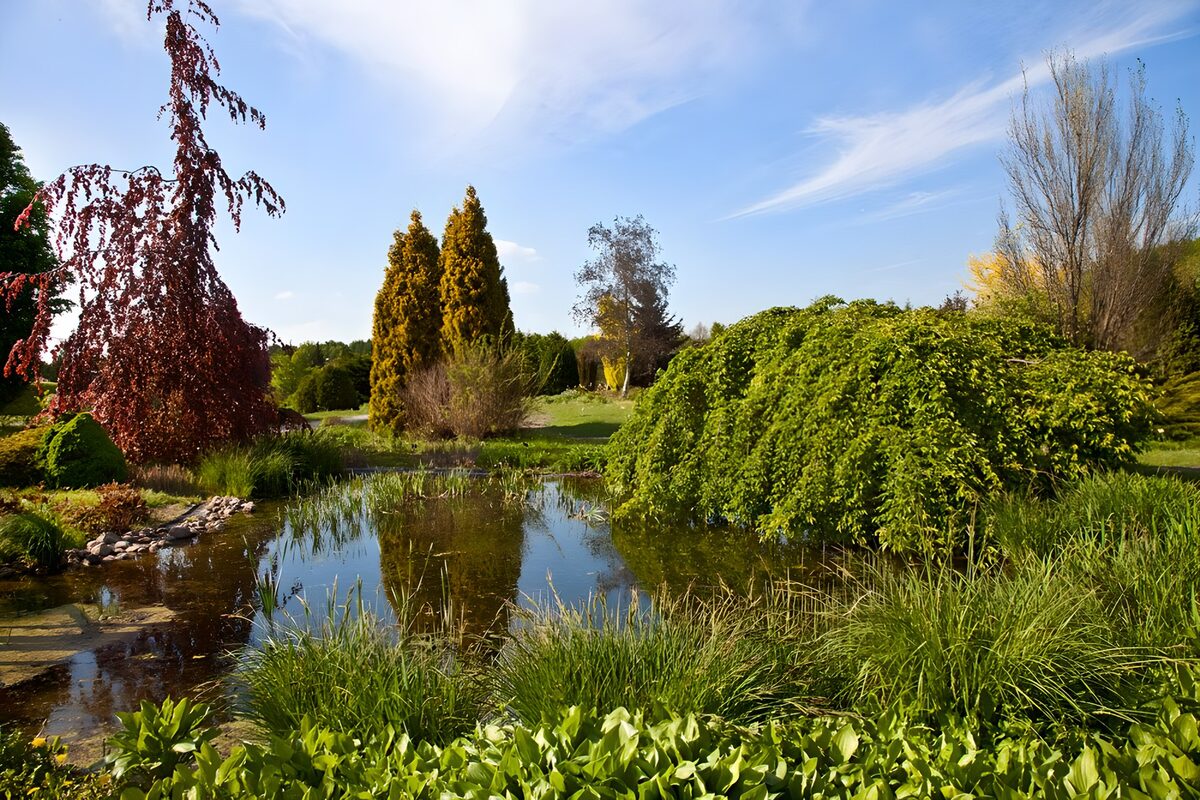 Serene Garden Landscape Reflection