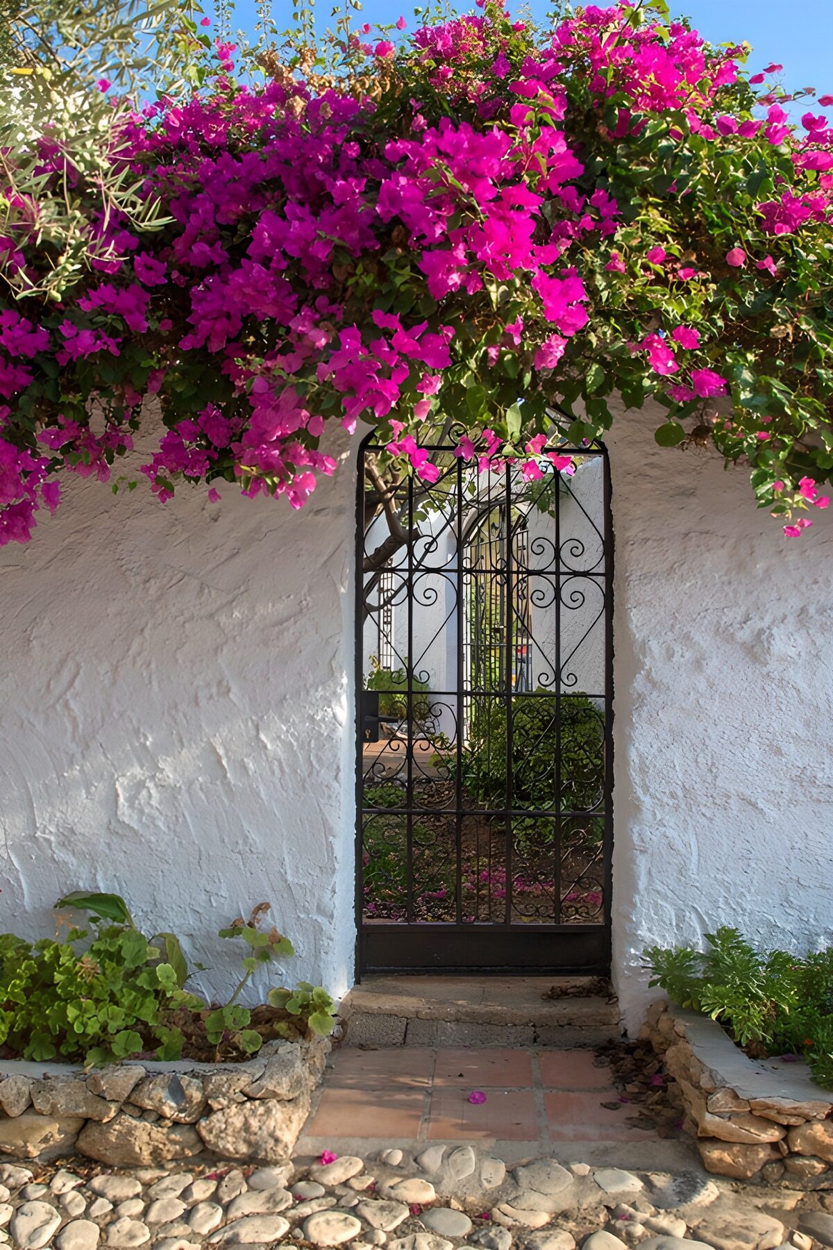 OCCOM3975608: Charming Gateway Framed by Bougainvillea