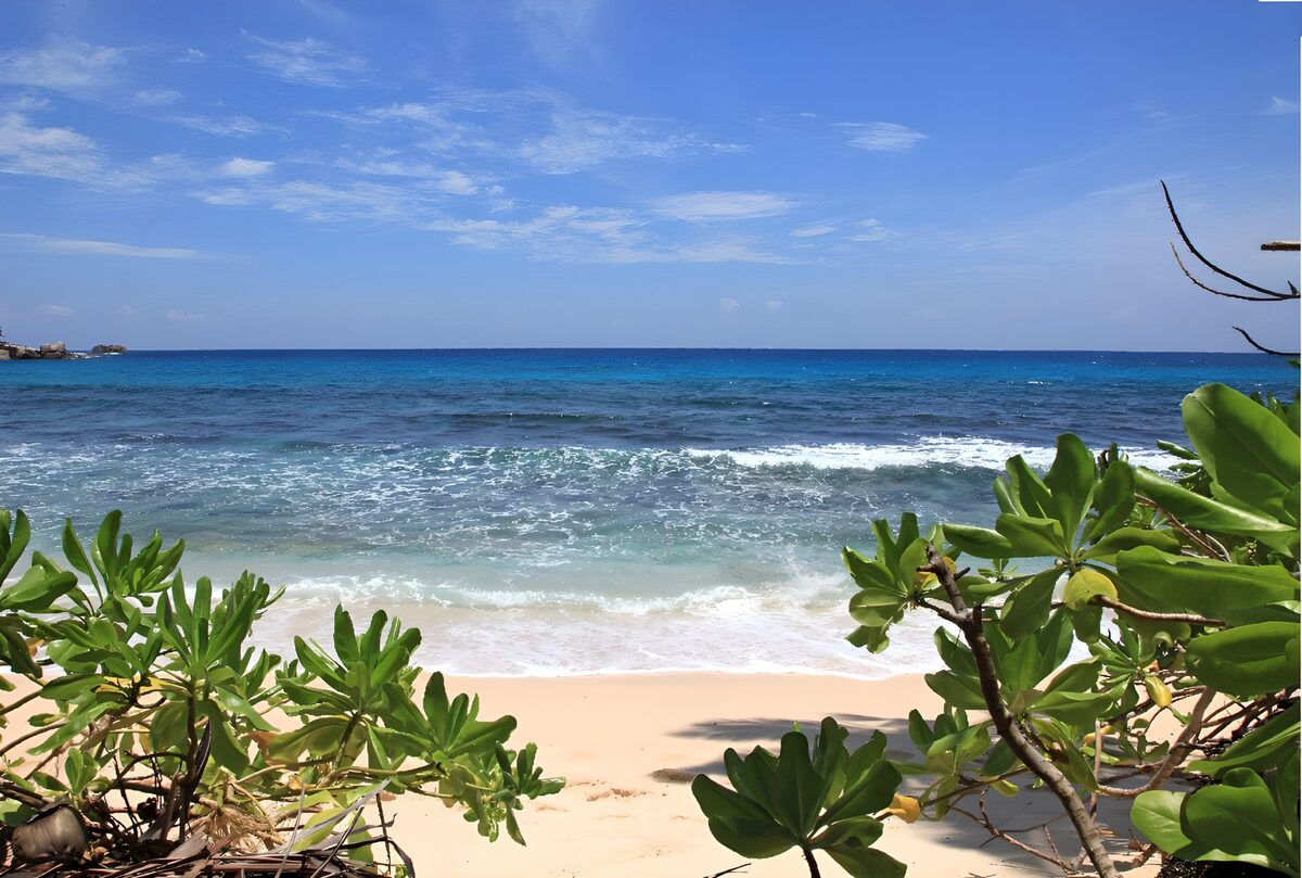 OCCOM2133437: Serene Tropical Beach Escape