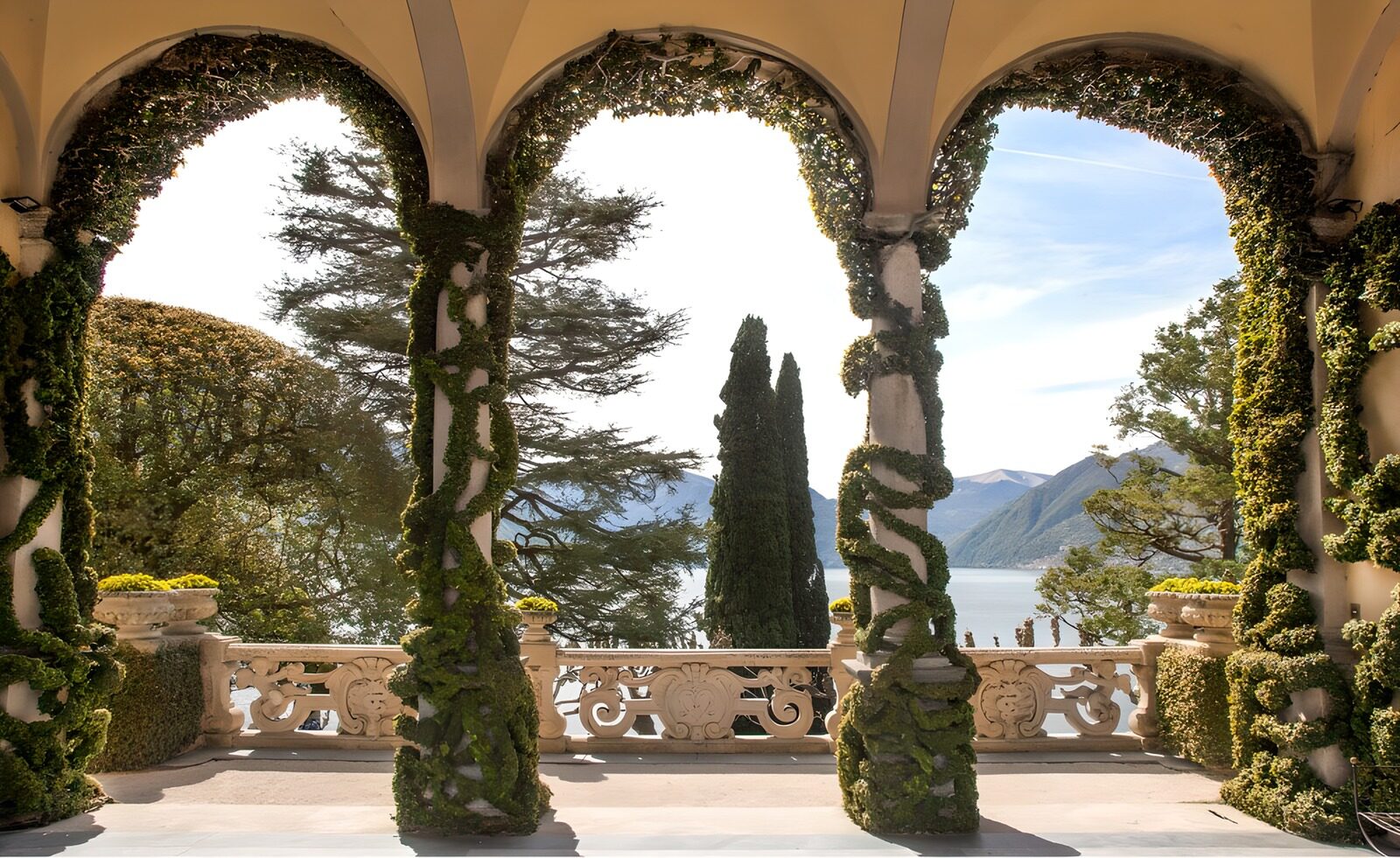 OCCOM5257041: Tranquil View Through Ivy-Covered Arches