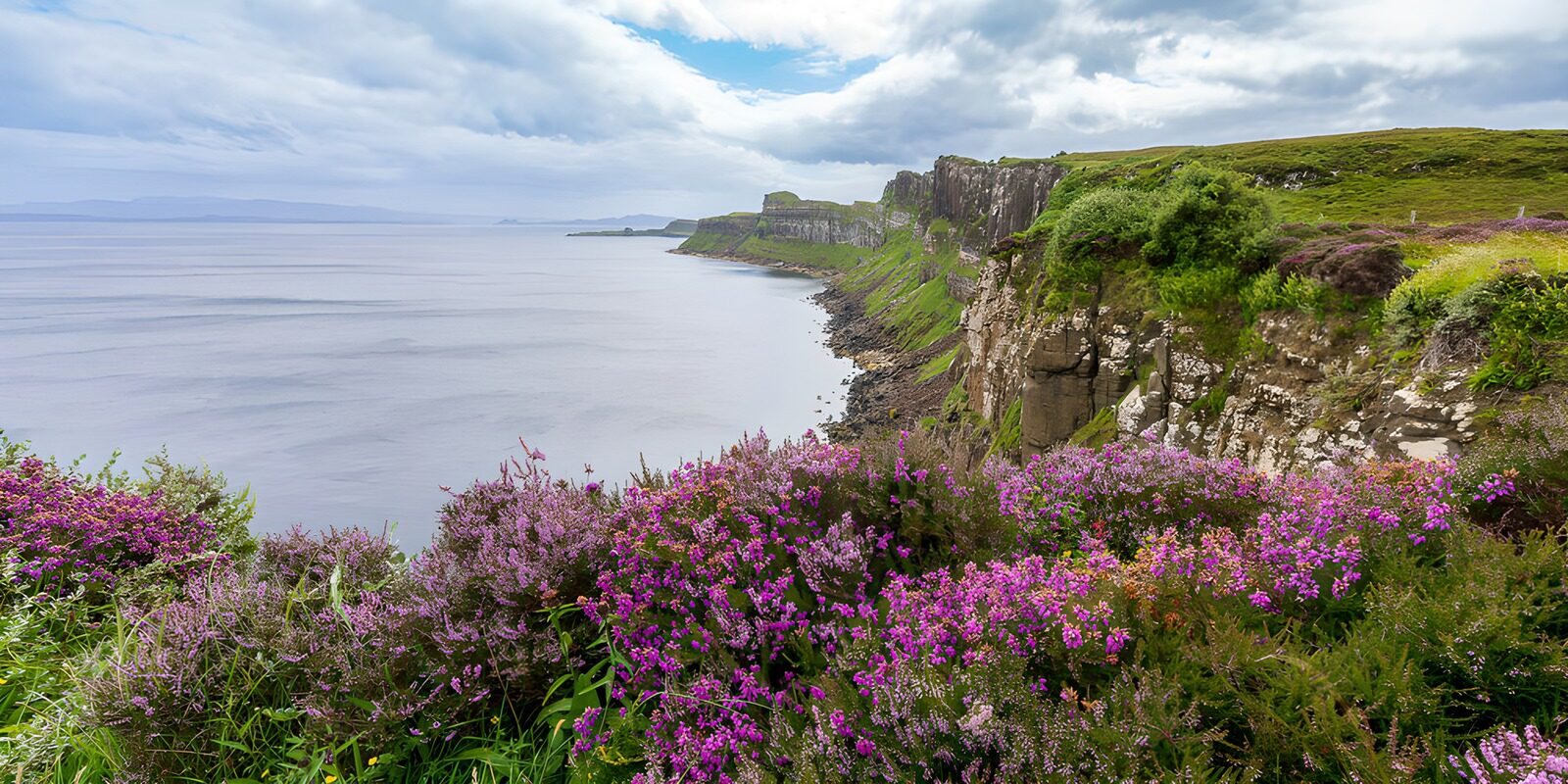 OCCOM3885350: Serene Coastal Cliffs with Wildflowers
