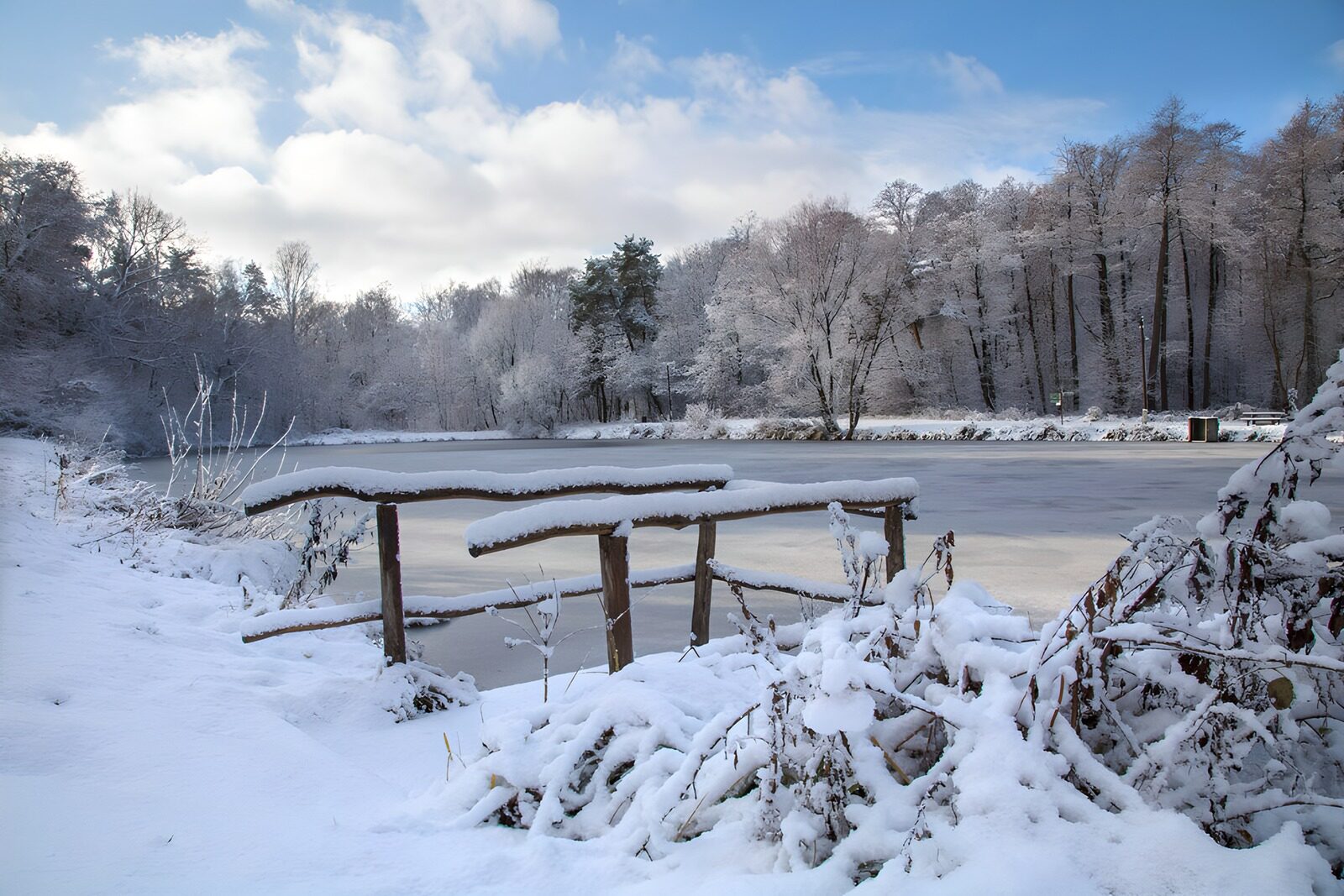 OCCOM3503243: Winter Wonderland by the Frozen Lake