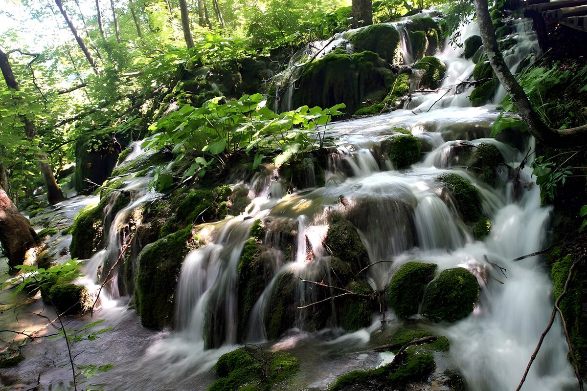 Tranquil Forest Waterfall