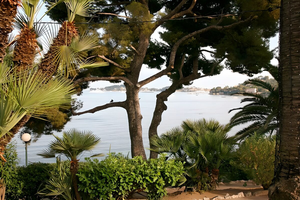 OCCOM7140541: Tranquil Waterscape with Lush Foliage