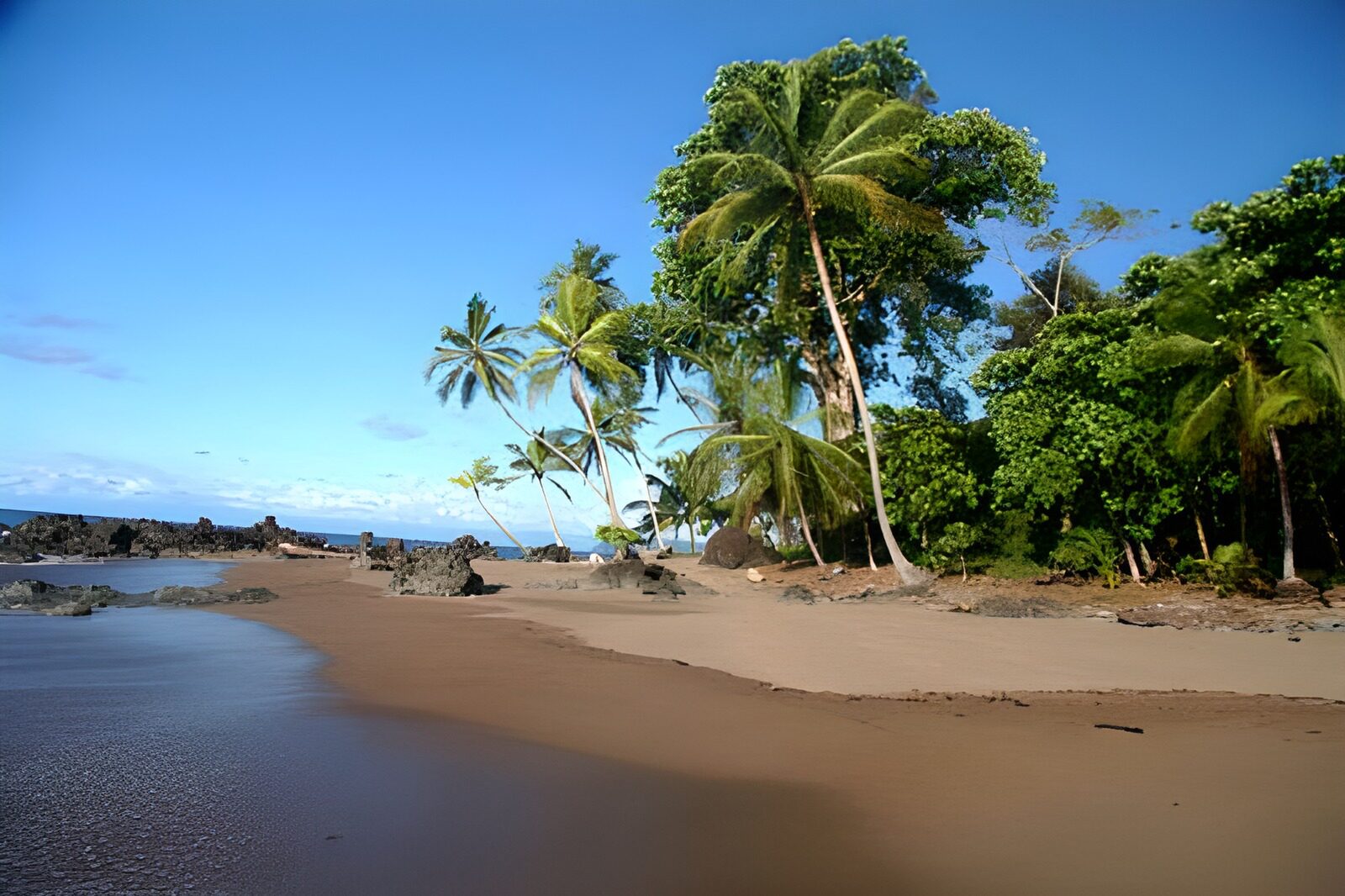 OCCOM3607961: Tropical Beach Paradise