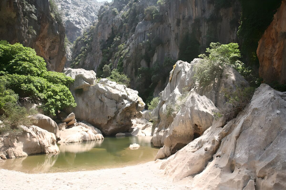 Serene River Canyon Landscape