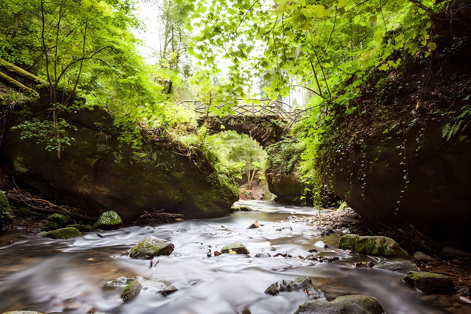 OCCOM4189681: Enchanted Forest Stream and Bridge