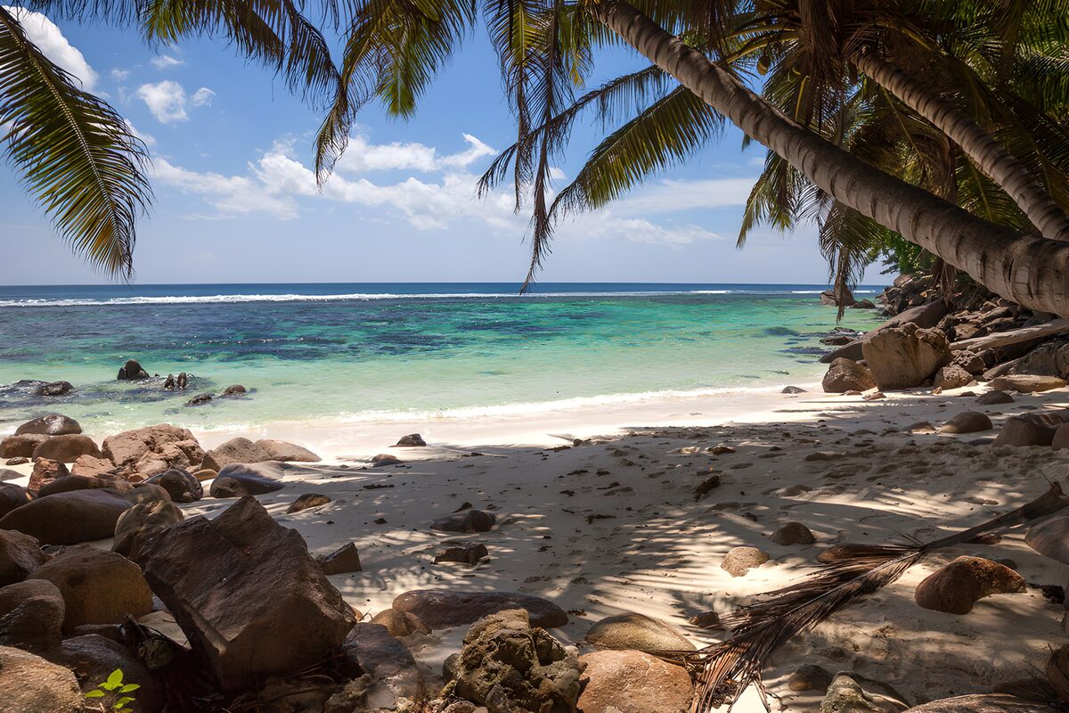 OCCOM1038822: Tropical Paradise by the Shore