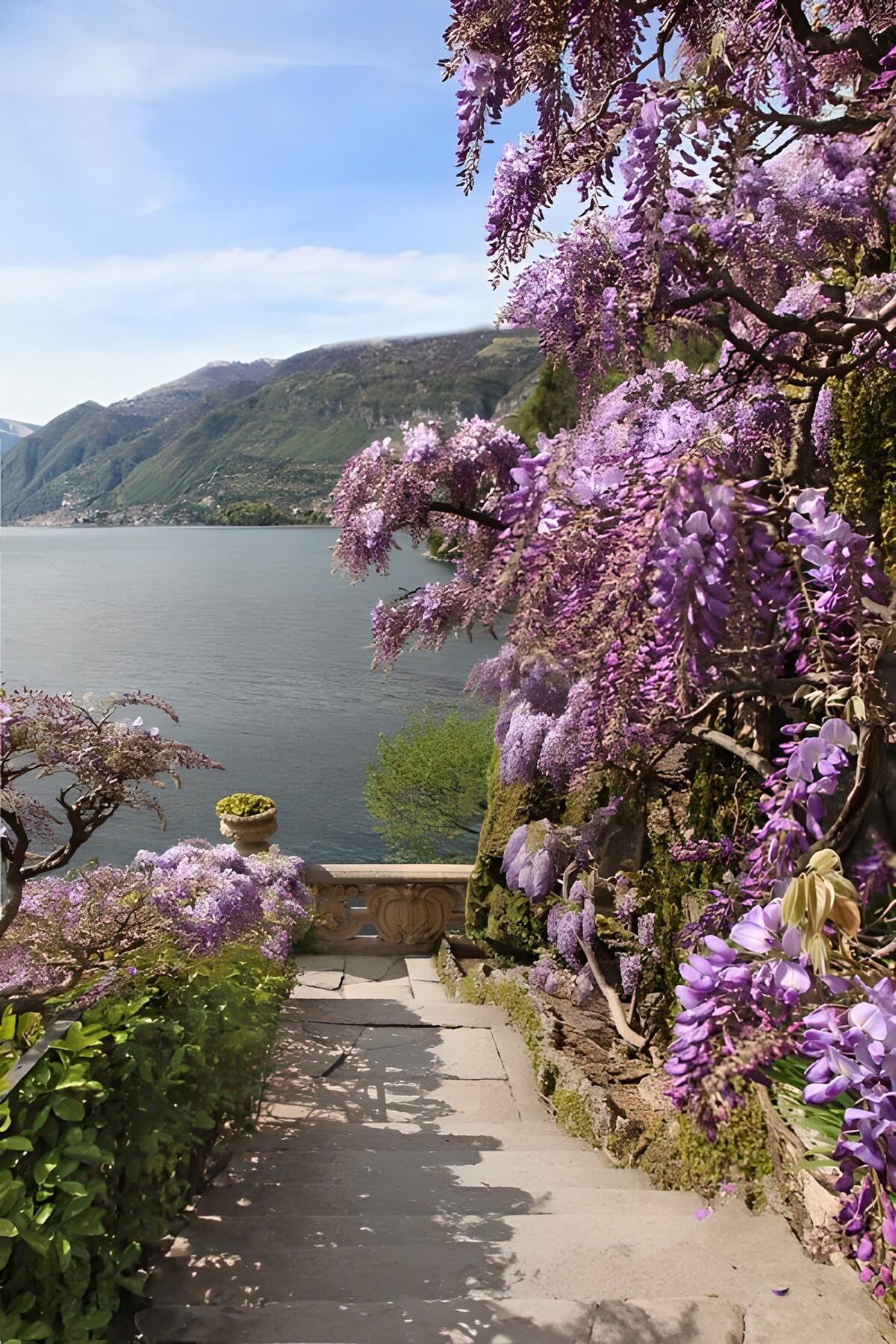OCCOM6091267: Serene Steps by the Lake