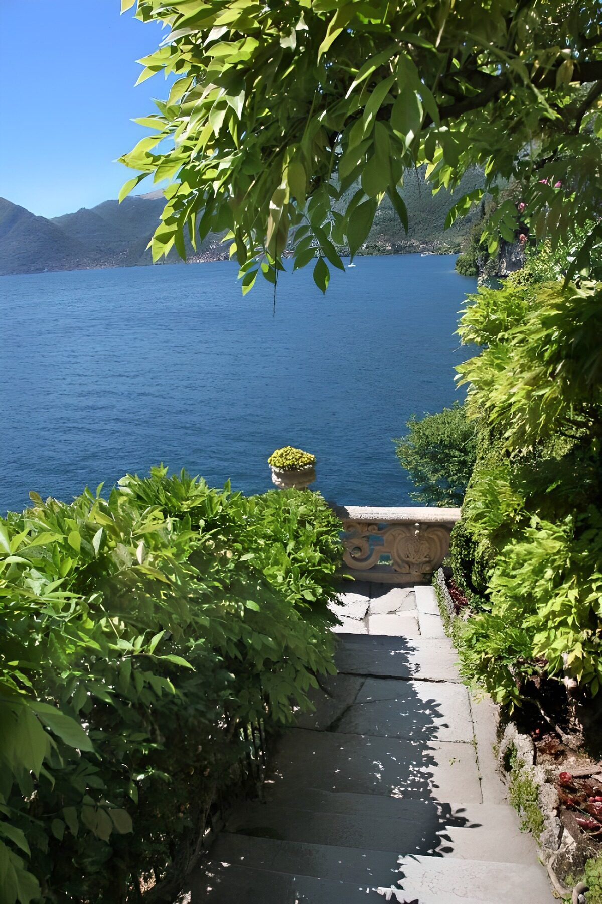 OCCOM2655758: Serene Stairs to the Tranquil Lake