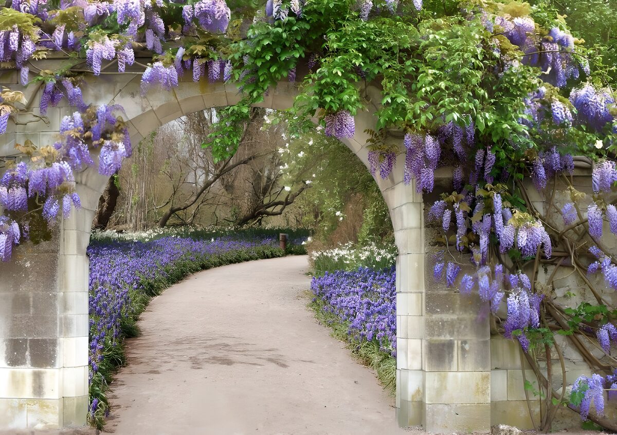 Enchanted Garden Pathway