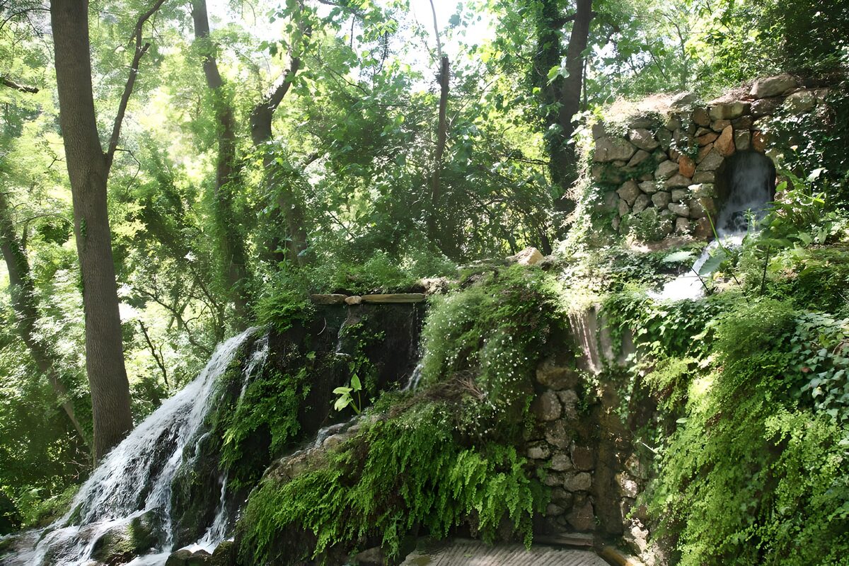 Serene Forest Waterfall Oasis