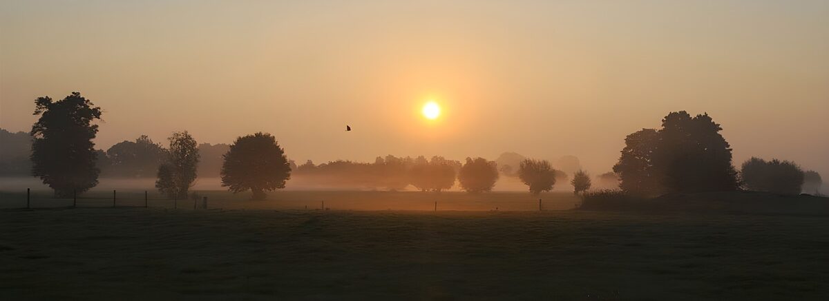 Serene Sunrise Over Misty Meadows