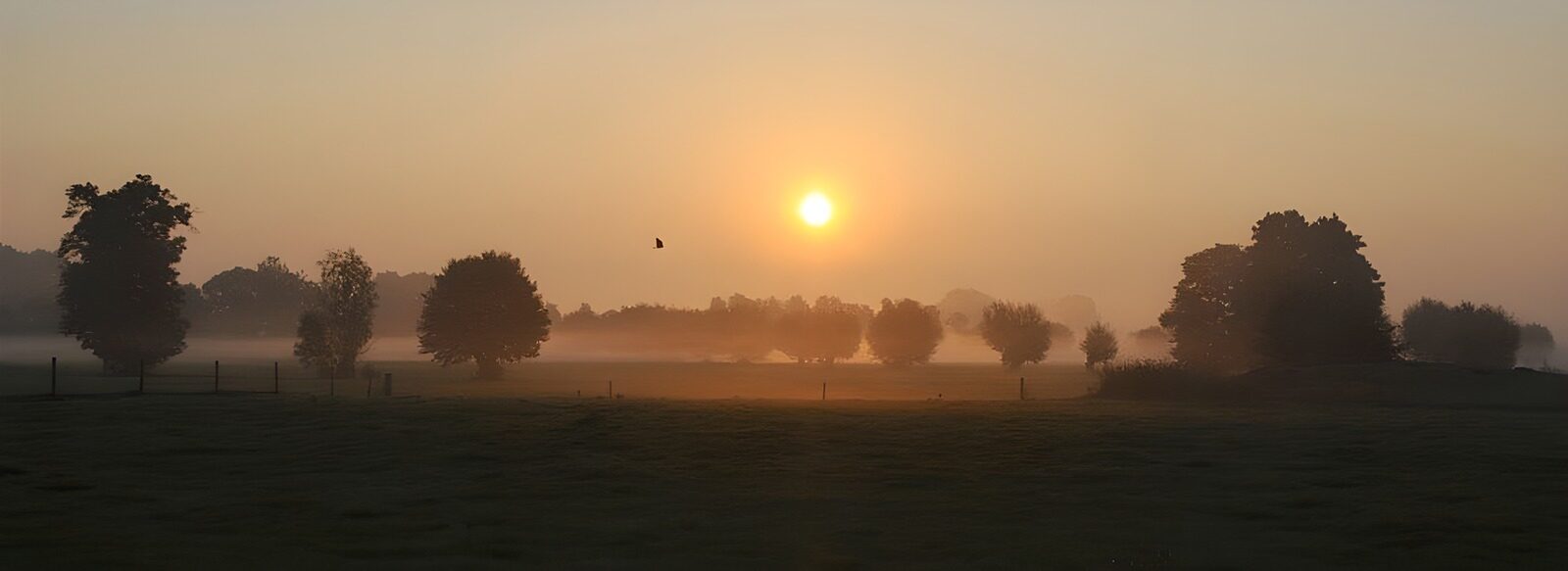 OCCOM5861100: Serene Sunrise Over Misty Meadows
