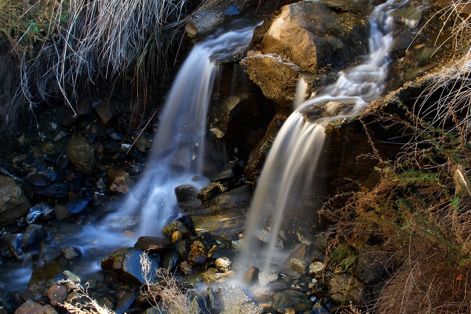 OCCOM1328485: Serene Mountain Stream