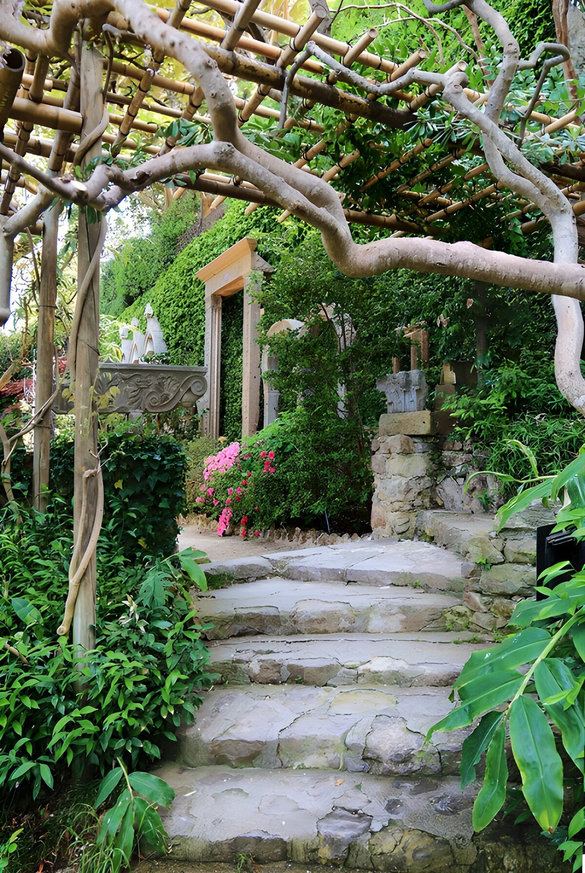 OCCOM4329394: Garden Pathway under the Canopy