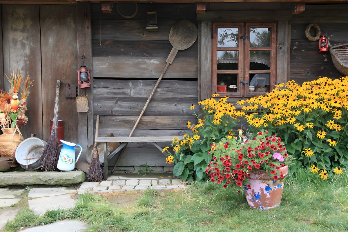 Rustic Charm Amidst Vibrant Flowers