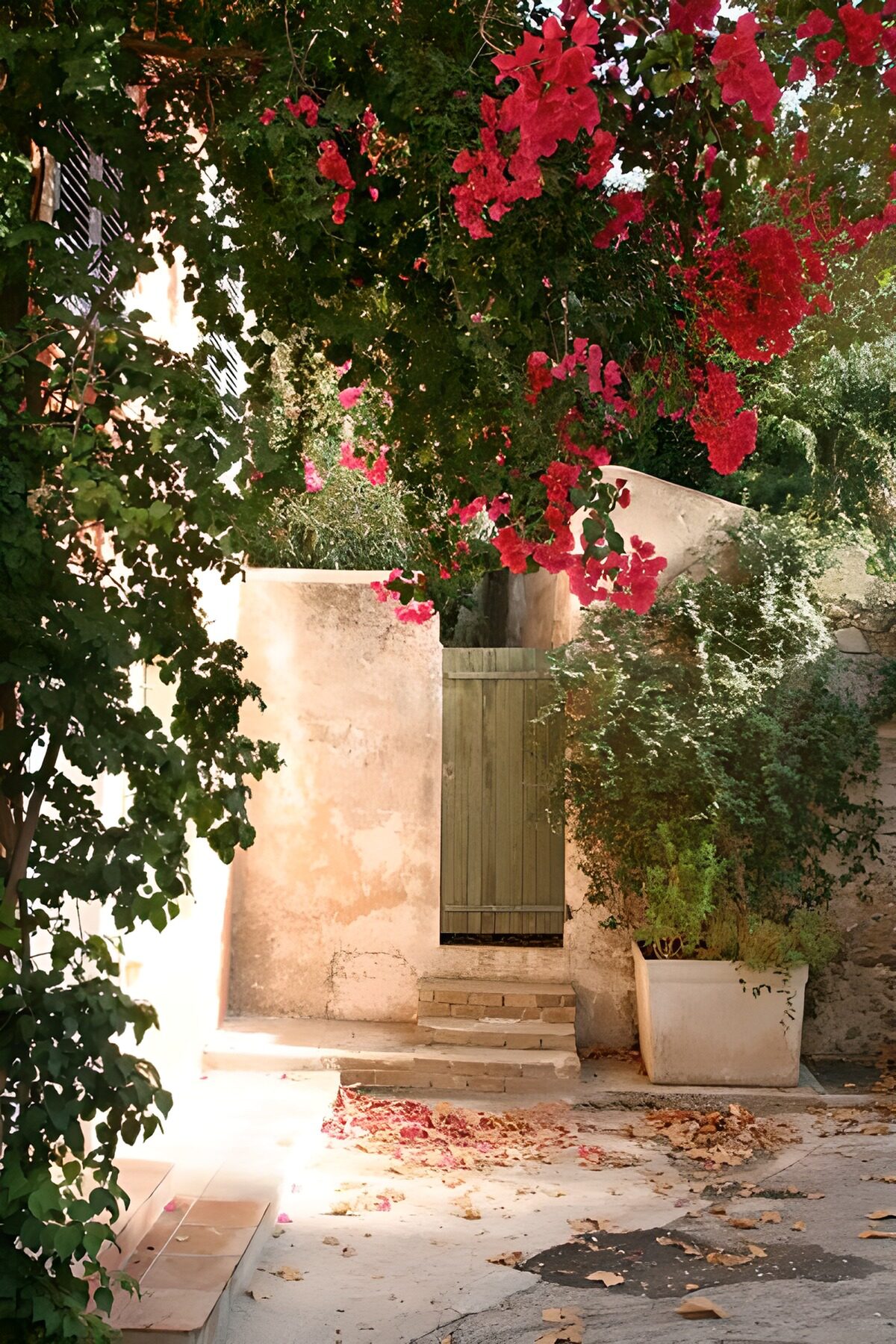 OCCOM6381974: Tranquil Garden Gate