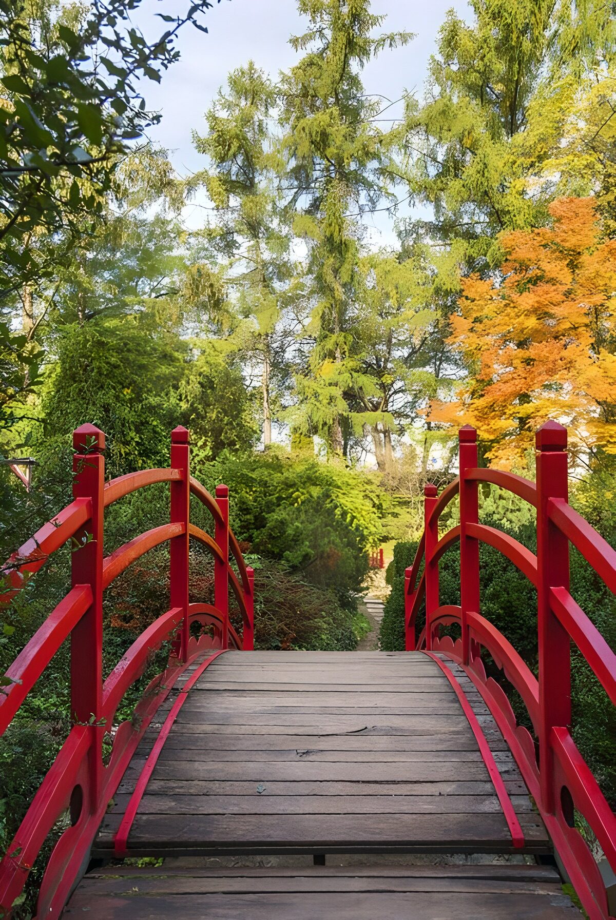 OCCOM2197750: Tranquil Red Bridge in a Lush Garden