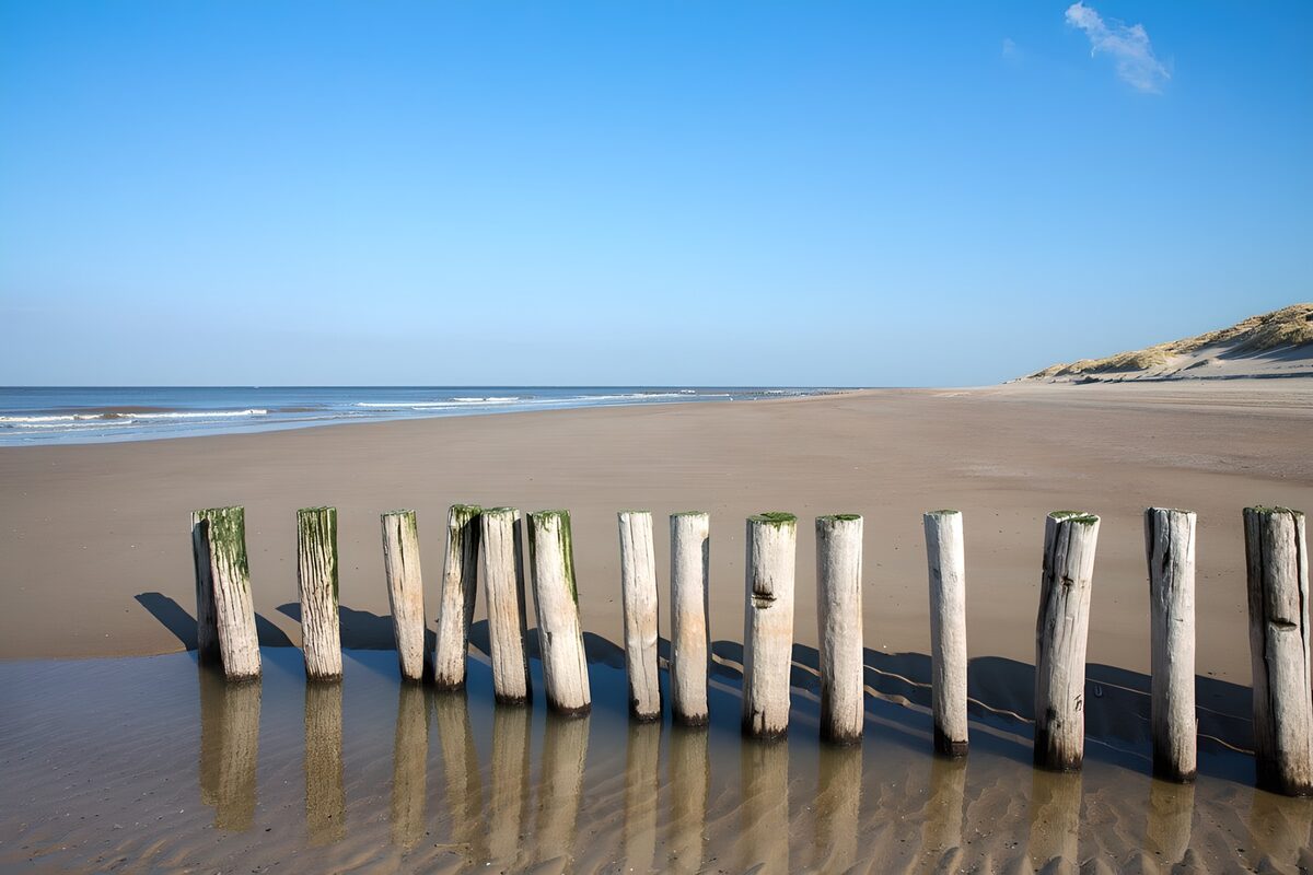 Tranquil Shoreline with Wooden Poles