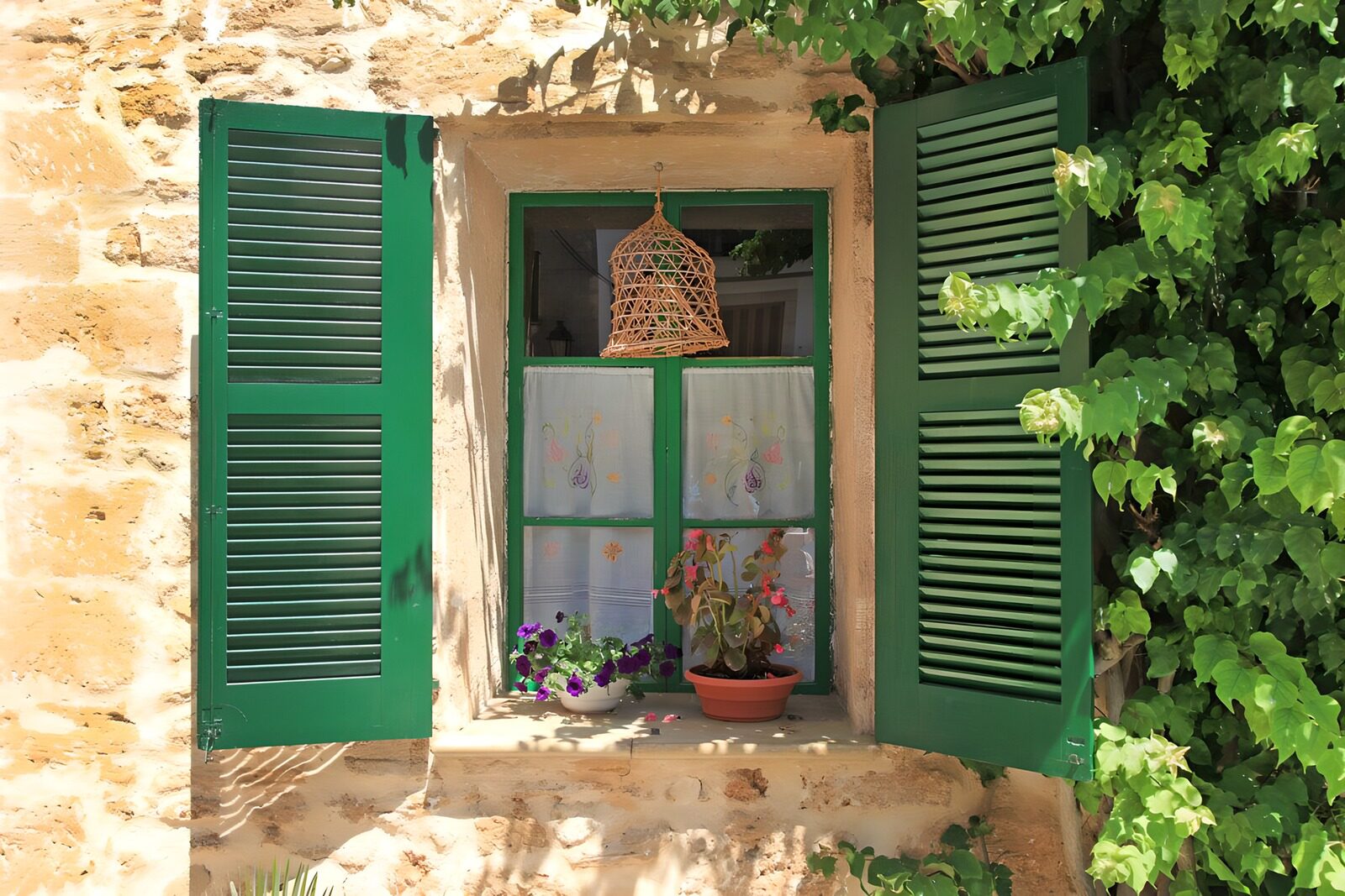 OCCOM3644808: Charming Green Window with Lush Plants